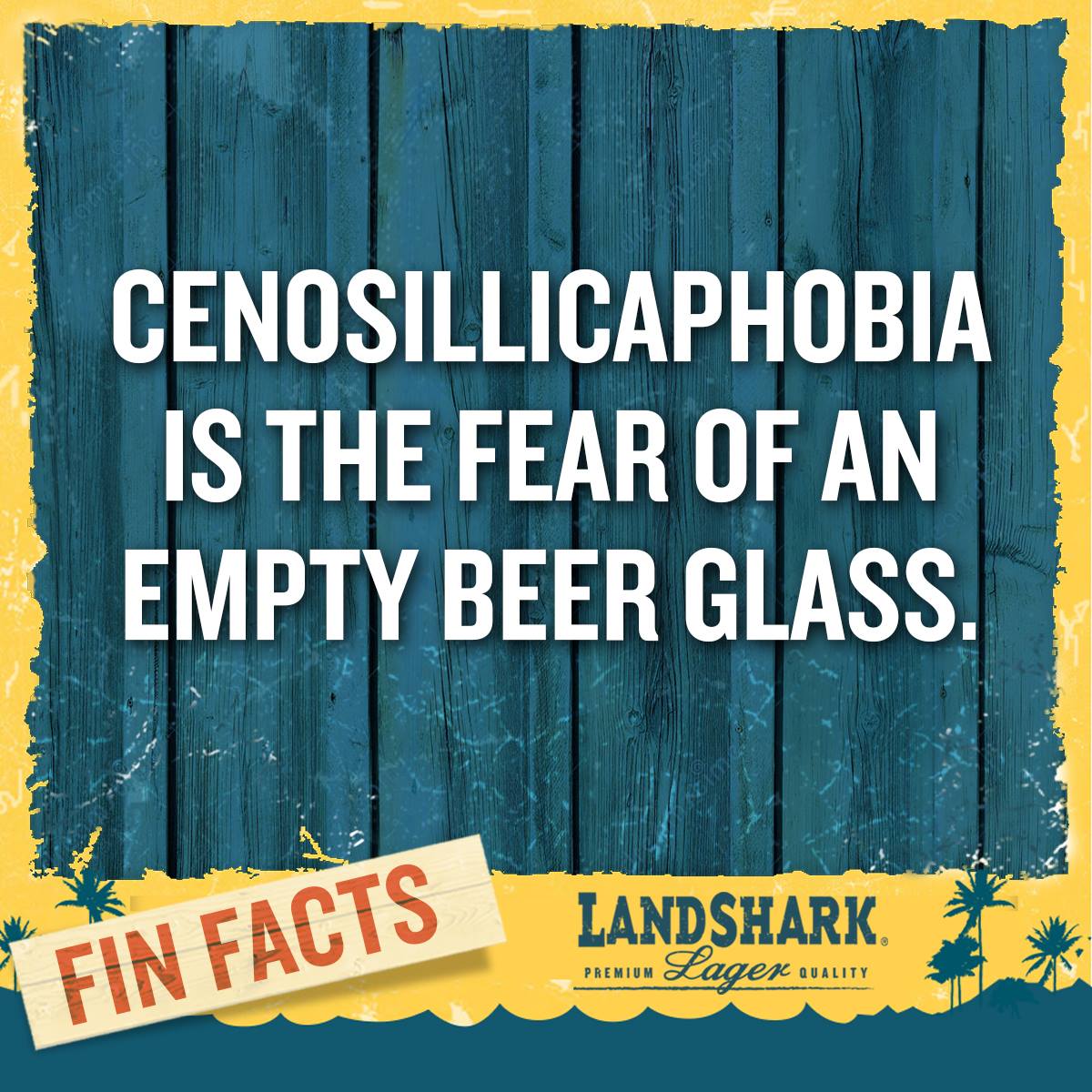 FInFacts_CenosIll