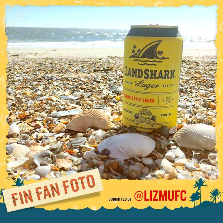 Landshark_FinFan01 2